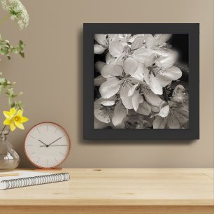 Spring Flower Blossoms In Black And White Framed Art