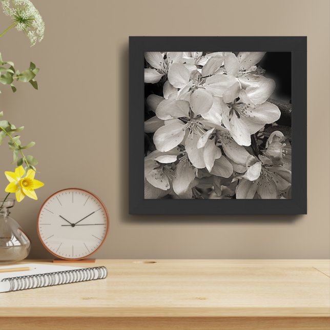 Spring Flower Blossoms In Black And White Framed Art (Table Top)