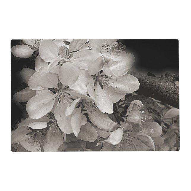 Spring Flower Blossoms In Black And White Placemat (Front)