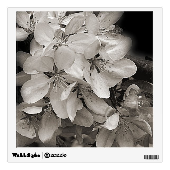 Spring Flower Blossoms In Black And White Wall Sticker (Front)