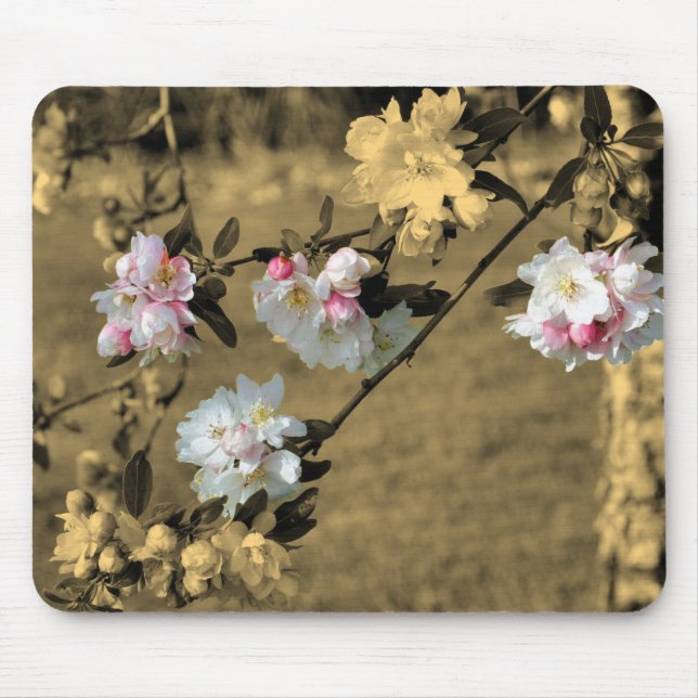 Spring Flower Blossoms In Sepia  Mouse Pad (Front)