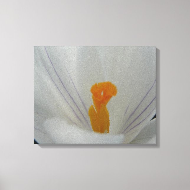 Spring Flower Canvas Print (Front)