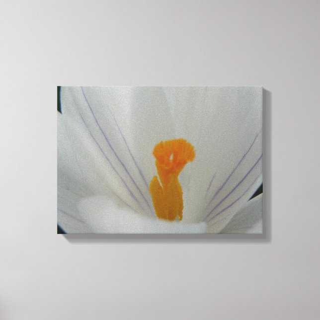 Spring Flower Canvas Print (Front)