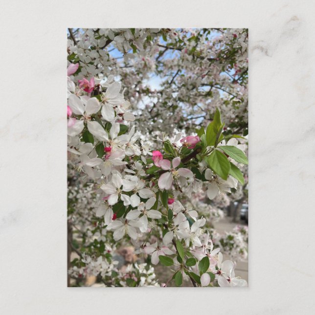 Spring flower enclosure card (Front)