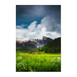 Spring flower field under mountain Krn Acrylic Print