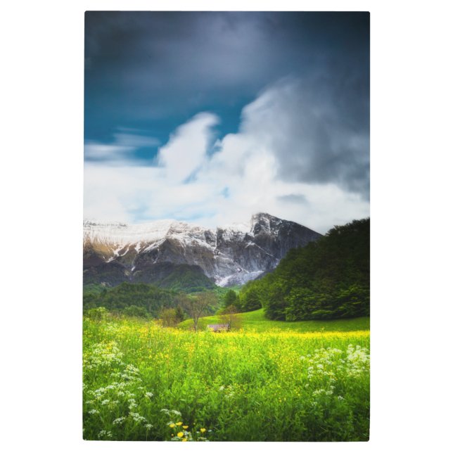 Spring flower field under mountain Krn Metal Print (Front)