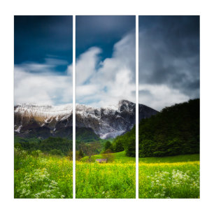 Spring flower field under mountain Krn Triptych