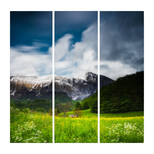 Spring flower field under mountain Krn Triptych (Front)
