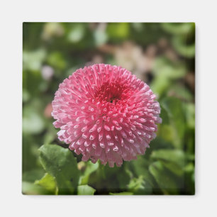 Spring Flower Magnet