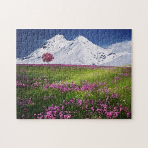 Spring Flower Meadow Winter Mountains Seasons Jigsaw Puzzle