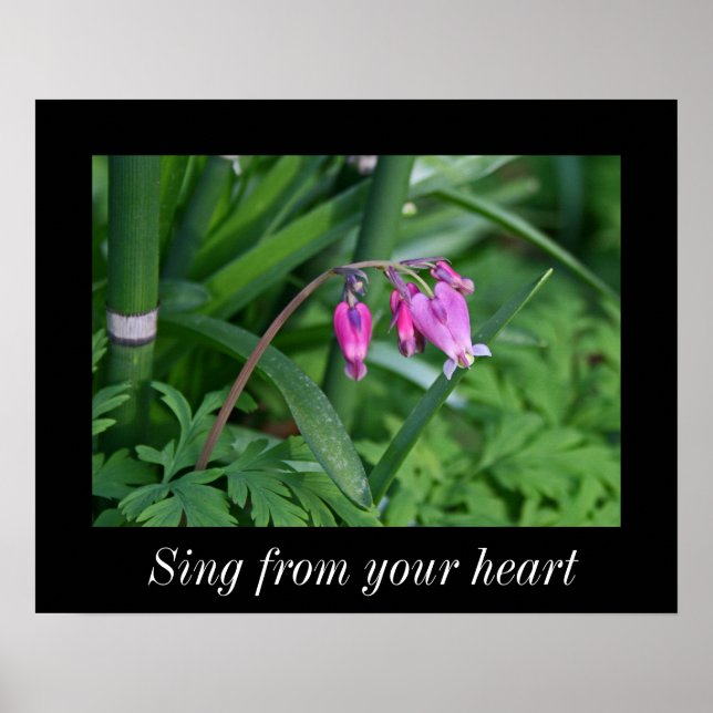 Spring flower, Value Poster Paper (Matte) (Front)