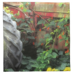 Spring flowers adorn an old tractor. cloth napkin