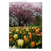 Spring Flowers and Blossom Cherry Tree Custom Text Cards (Front)