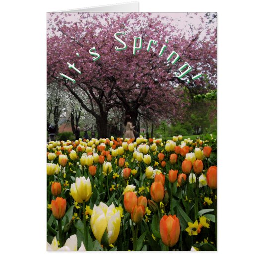 Spring Flowers and Blossom Cherry Tree Custom Text Cards (Front)