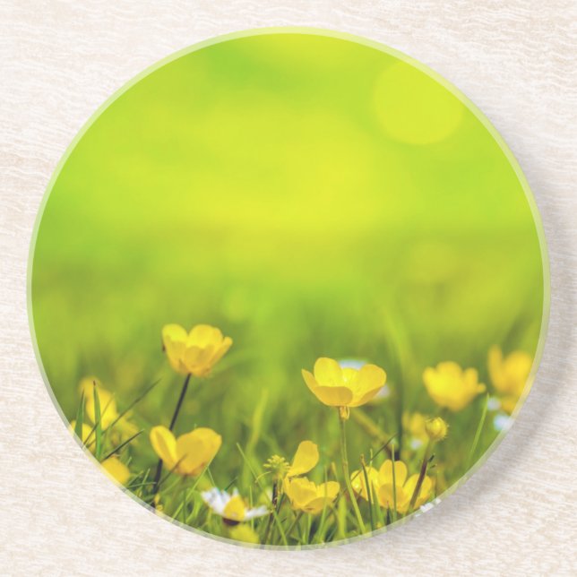 Spring Flowers Background-31653 Coaster (Front)