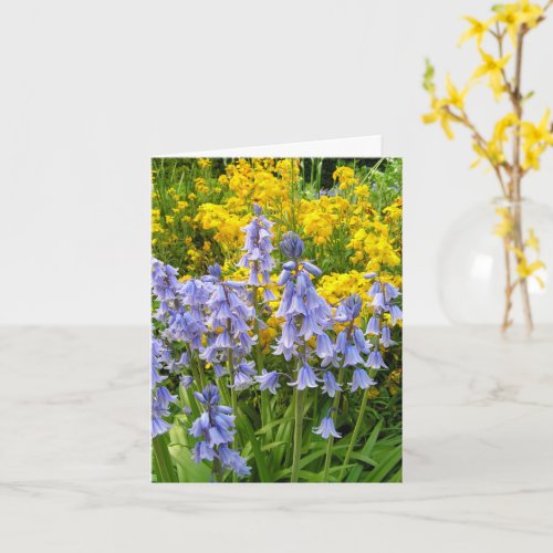 Spring flowers bluebells and wallflowers photo card