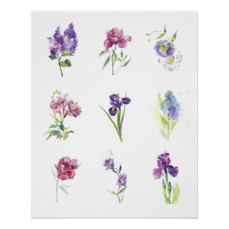 Spring Flowers Botanical Watercolor Collection Poster