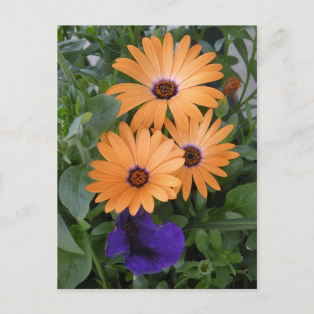 Spring Flowers Card (Front)