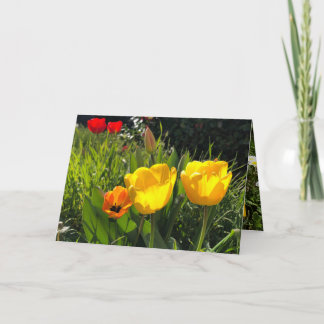 Spring flowers card tulips easter yellow orange