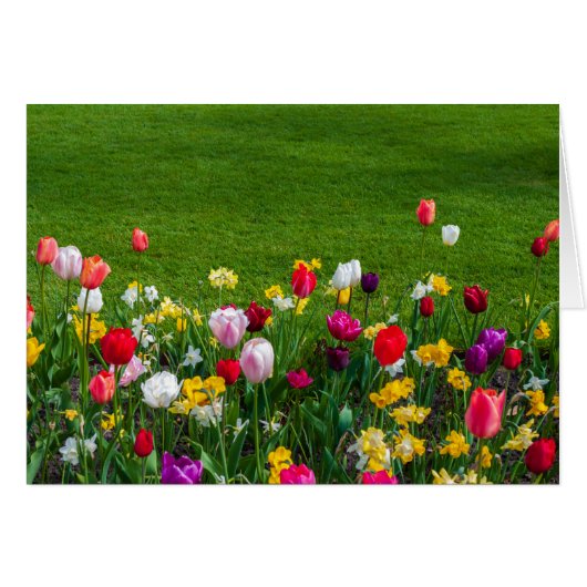 Spring flowers cards (Front Horizontal)