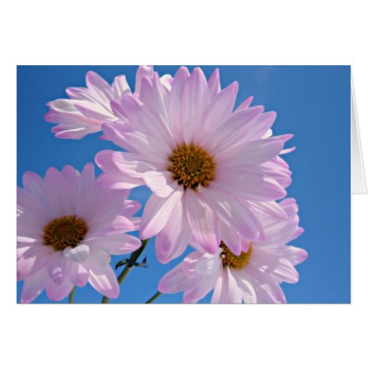 Spring Flowers Cards (Front Horizontal)