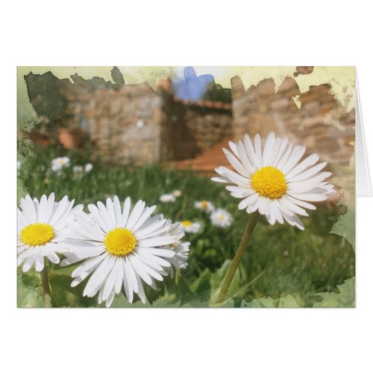 Spring flowers. cards (Front Horizontal)