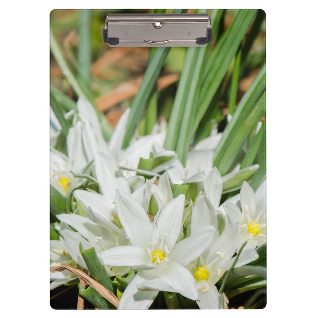 Spring flowers clipboard (Front)