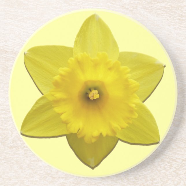 Spring Flowers Coaster Daffoldil Flowers Coaster (Front)
