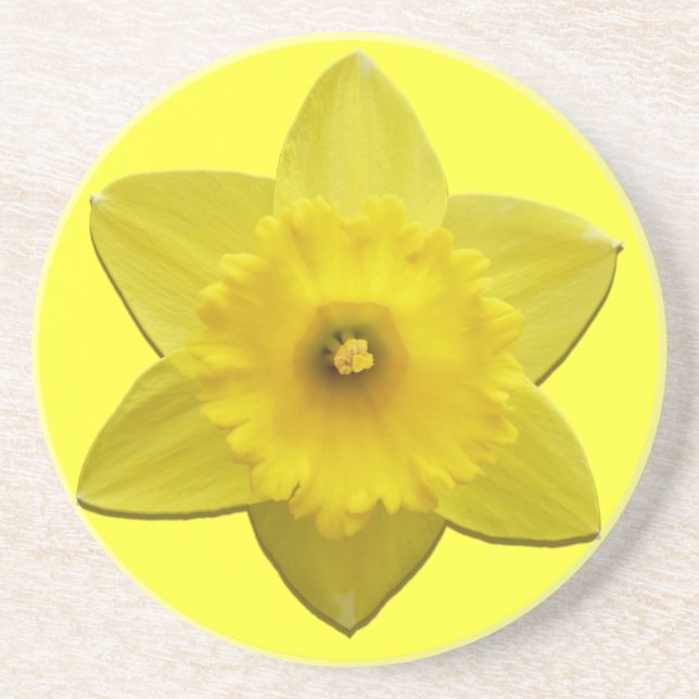 Spring Flowers Coaster Daffoldil Flowers Coaster (Front)