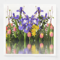 Spring Flowers Daffodil, Tulip, Crocus