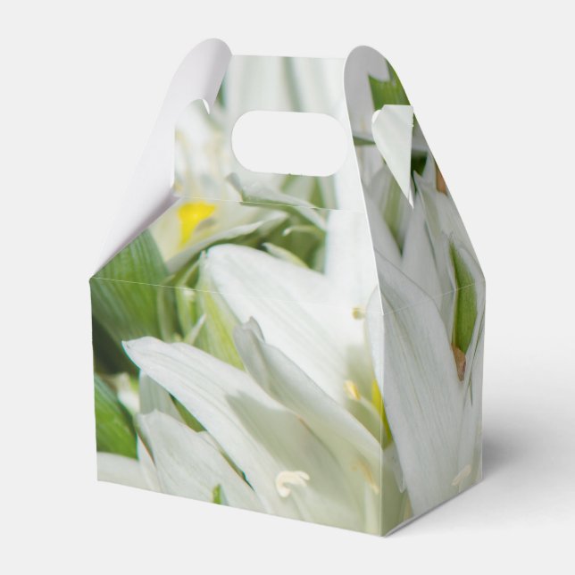 Spring flowers favor boxes (Back Side)