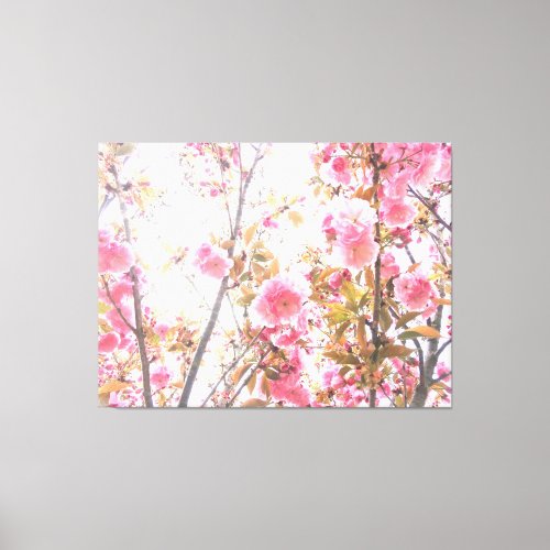 Spring Flowers Floral Pink Cherry Blossom Abstract Canvas Print