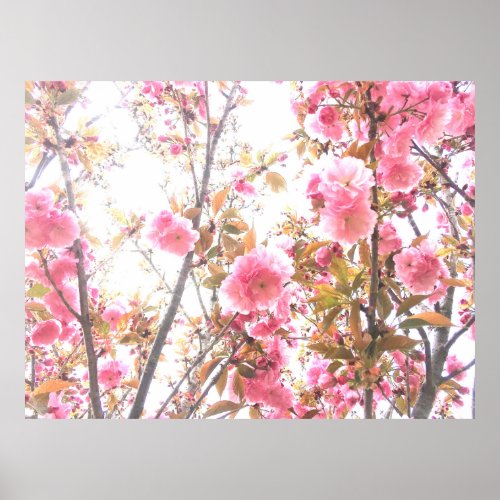 Spring Flowers Floral Pink Cherry Blossom Abstract Poster