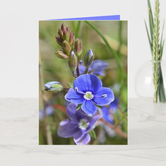 Spring Flowers Greeting Card (Front)