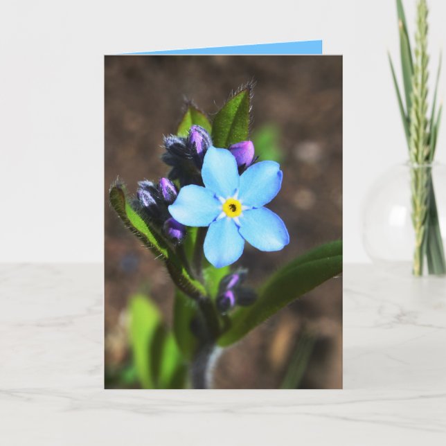 Spring Flowers Greeting Card (Front)