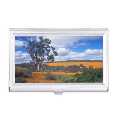 Spring flowers in Namaqualand South Africa Business Card Case