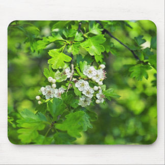 spring flowers mouse pad