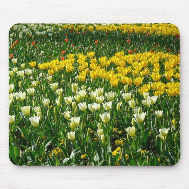 Spring Flowers Mouse Pad (Front)