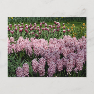 Spring flowers postcard