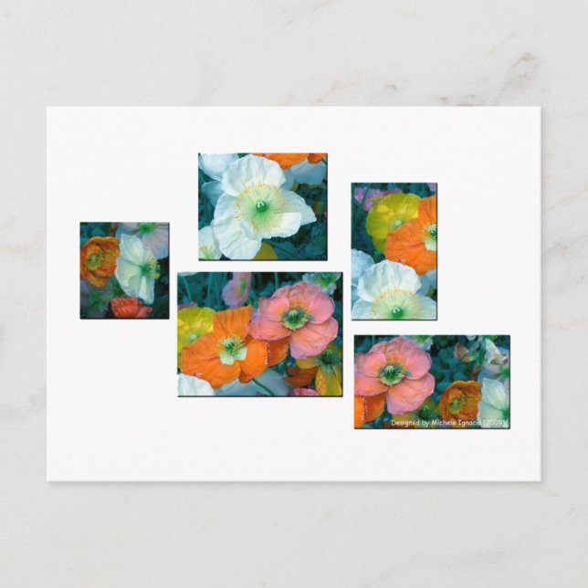 Spring Flowers Postcard (Front)