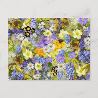 Spring Flowers