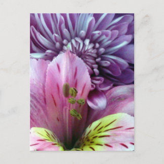 Spring Flowers Postcard