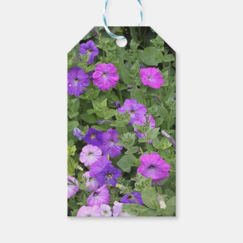 Spring Flowers Purple Garden Petunia Floral Photo Gift Tags