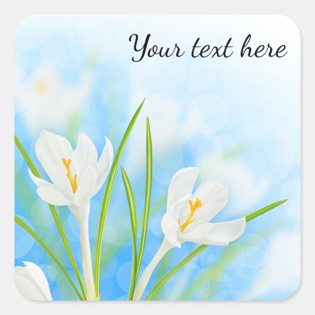 Spring flowers (white crocus) square sticker (Front)