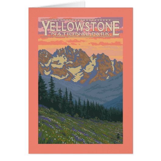 Spring Flowers - Yellowstone National Park (Front)