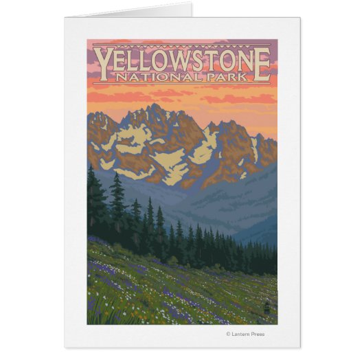 Spring Flowers - Yellowstone National Park Cards (Front)