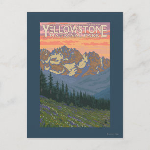 Spring Flowers - Yellowstone National Park Postcard