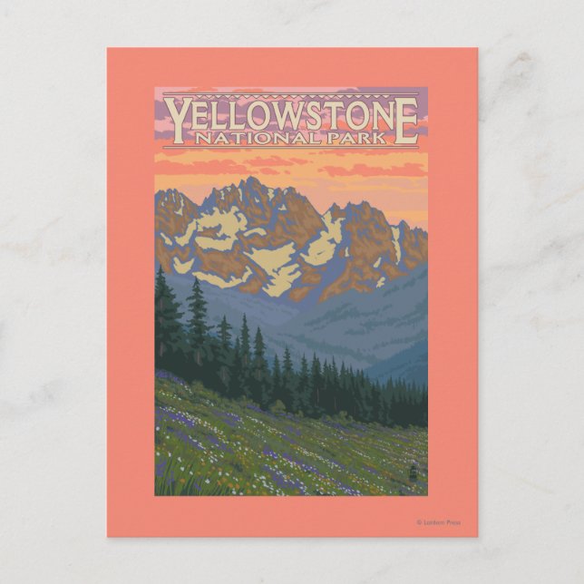 Spring Flowers - Yellowstone National Park Postcard (Front)