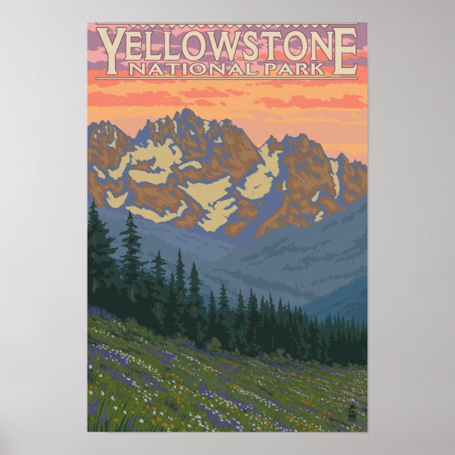 Spring Flowers - Yellowstone National Park Poster (Front)