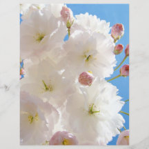 Spring Flyers Paper White Pink Fluffy Tree Blossom